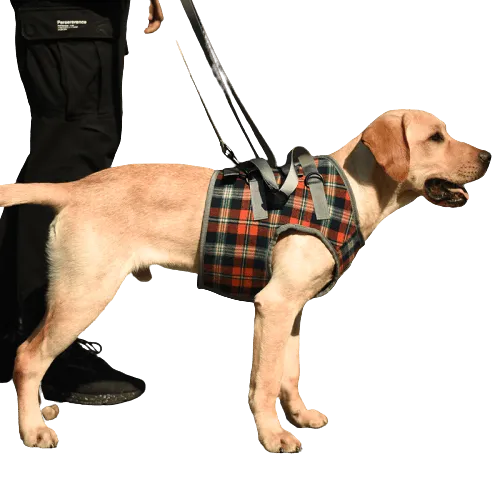 A Plus A Pets Multi Function Vest Style Harness for Dogs